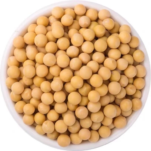 黄豆东北黄豆打豆浆用黄豆
