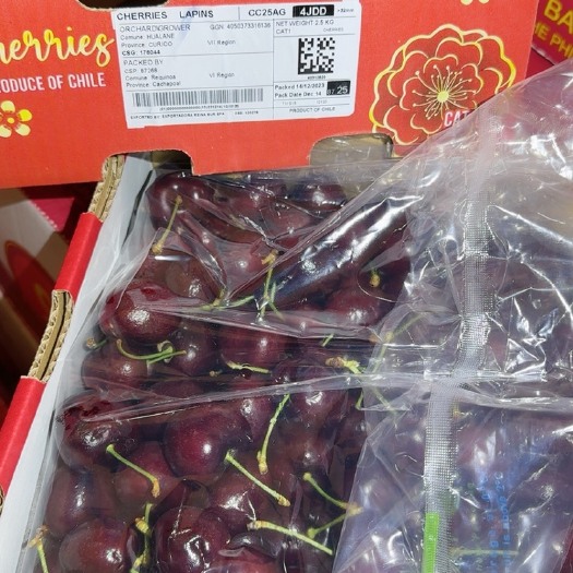 黔西市智利拉宾斯车厘子5J原箱装一件代发