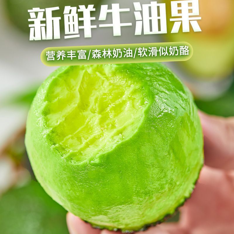 【包熟无坏】现摘云南牛油果新鲜批发辅食水果国产哈斯非