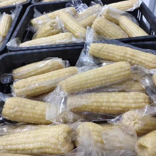 熟玉米