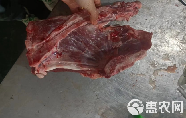 母猪多肉尾叉骨 骨头 猪肉 猪副产品猪排骨