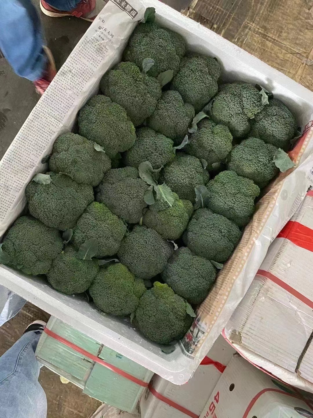 绿翡翠西兰花 西兰花，松花，产地一手货源，现已大量上市