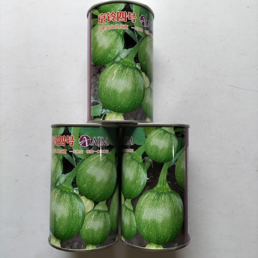 花皮一串铃南瓜种子蔓生早秀南瓜种子菜用青瓜圆球型小南瓜种子