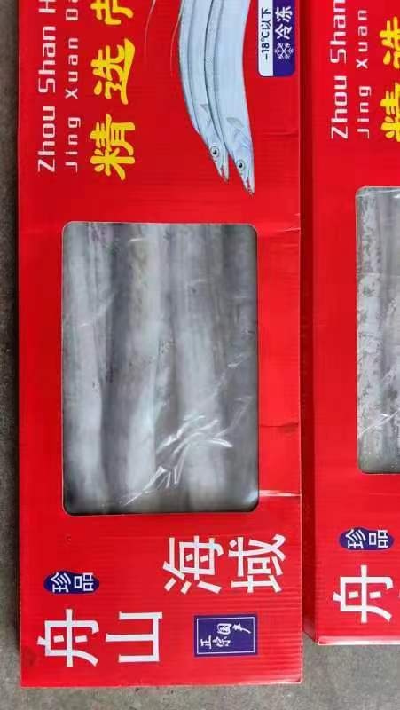 邹平市带鱼  刀鱼  舟山