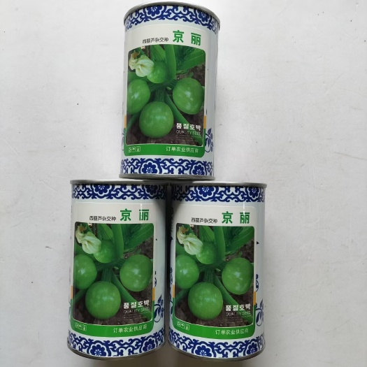 京丽 京绿西葫芦种子早熟无蔓小南瓜种子圆球型嫩瓜青瓜节瓜种子