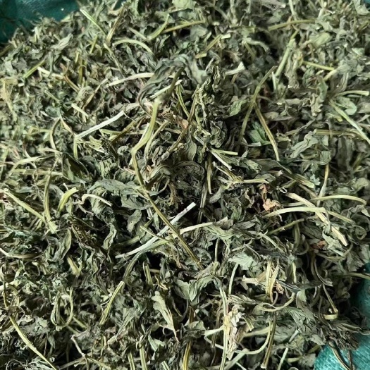 灵香草 干货 香辛料调料零凌草