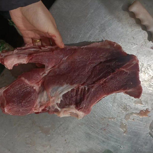 母猪多肉尾叉骨 骨头 猪肉 猪副产品猪排骨