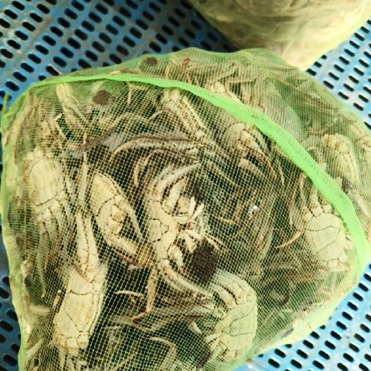 兴化市满黄满膏的59公