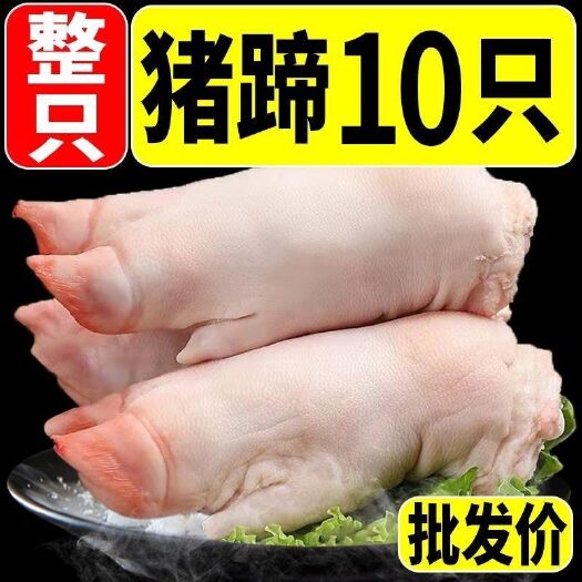 南京猪蹄带筋猪蹄子农家生猪脚前后猪手猪爪家用猪蹄猪手整只小香猪蹄