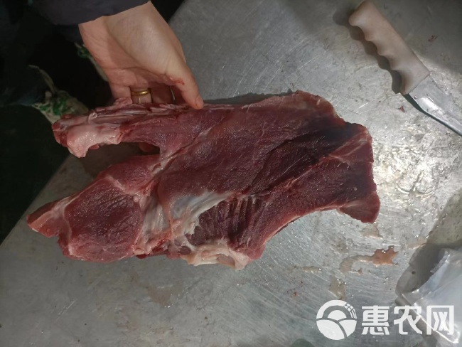 母猪多肉尾叉骨 骨头 猪肉 猪副产品猪排骨