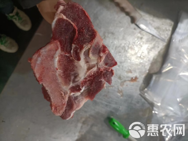 母猪多肉尾叉骨 骨头 猪肉 猪副产品猪排骨