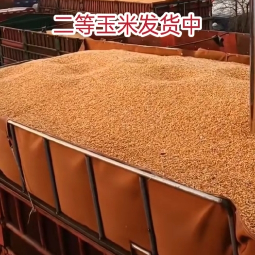 沈阳出售东北二等玉米