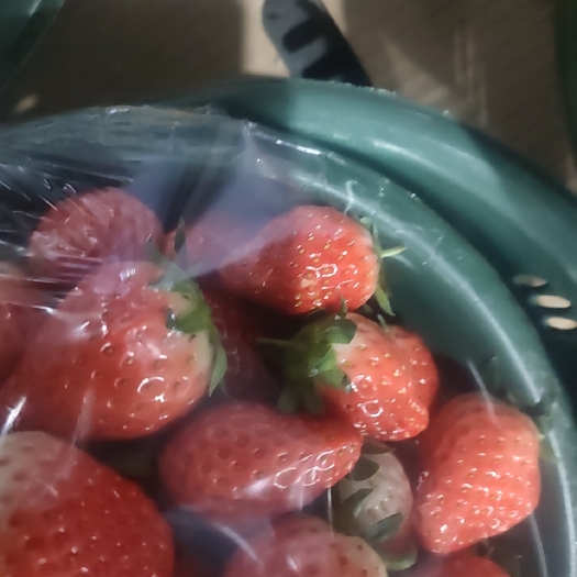 四川红颜草莓