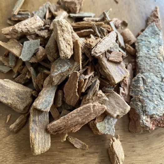 玉林野生桂皮，阴香树