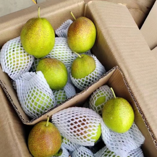 辛集市精品香梨礼盒