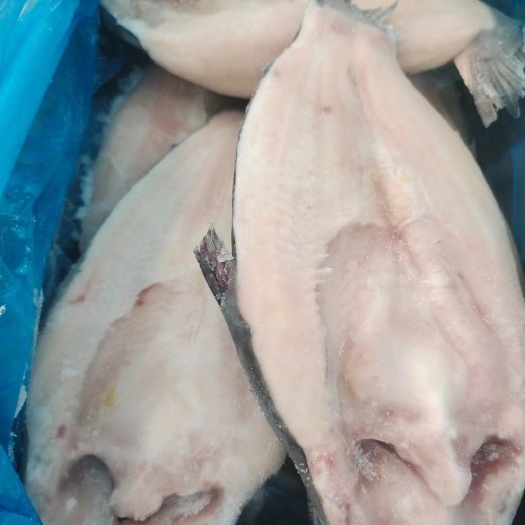 北海650/700，开背《巴沙鱼》适合做烤鱼、碳烤