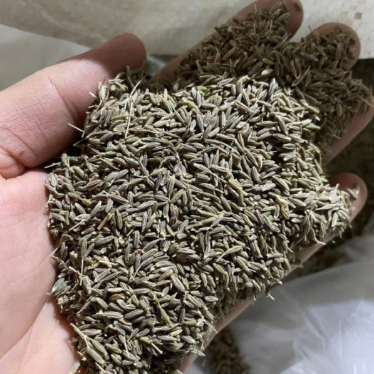 阿拉尔市新疆孜然，产地直发，没有中间商