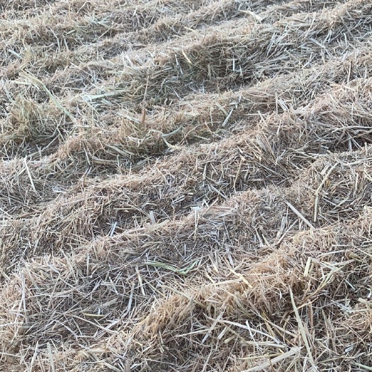 响水县揉丝稻草