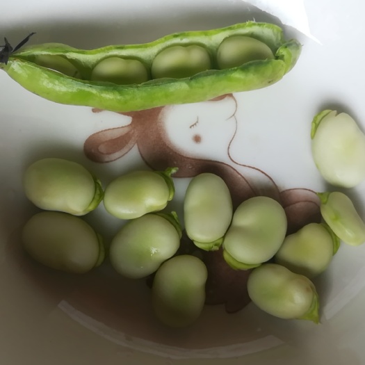 云南彌渡綠皮白米藏豆原產(chǎn)地代辦代收一條龍服務(wù)歡迎聯(lián)系