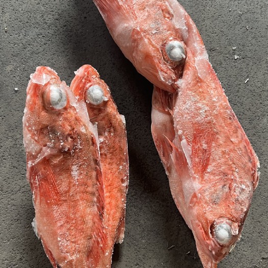 青岛乌拉圭红头鱼三个规格