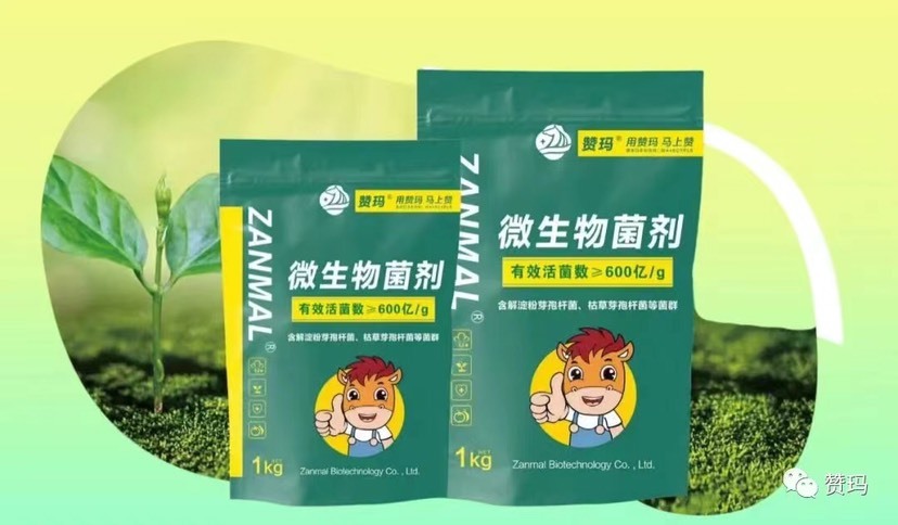 金乡县微生物菌剂厂家一手货源