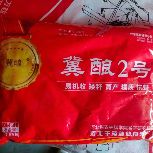 黄骅市高粱种子  可回收  提供技术