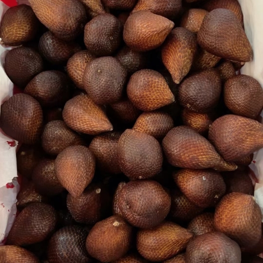 广州印尼蛇皮果稀奇水果记忆用脑人士水果脆甜一件代发