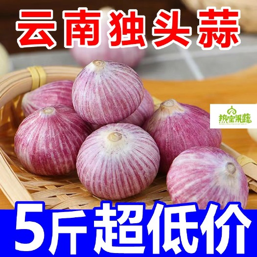鹤庆县现挖独头一件代发