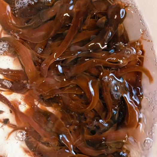肉质细腻，汤鲜味美，营养价值高，的美味！