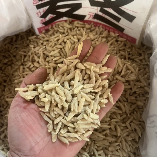 玉林川麦冬颗粒饱满 中药材 质量保证一手货源大量批发 全国发货