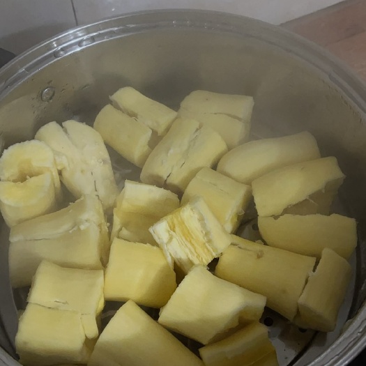 岑溪市现货黄玉木薯种 糖水木薯种