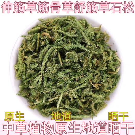 中药材伸筋草筋骨草正品新货透骨草舒筋草当季新货干品