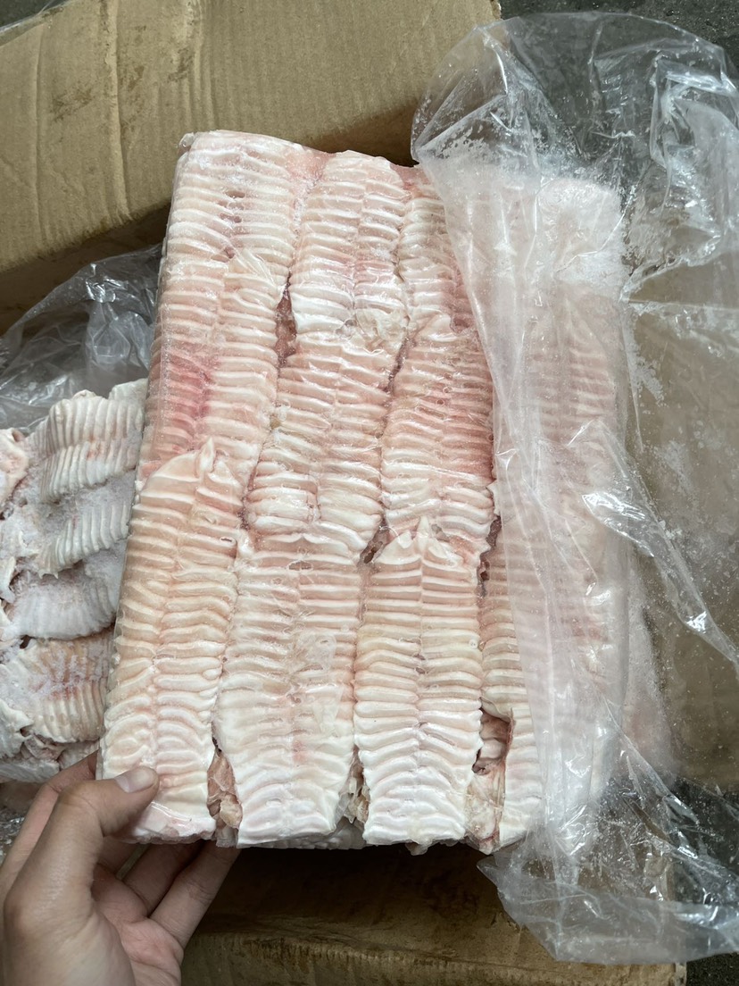 肥猪标猪天梯牙板