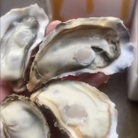 佛山靚貨生蠔