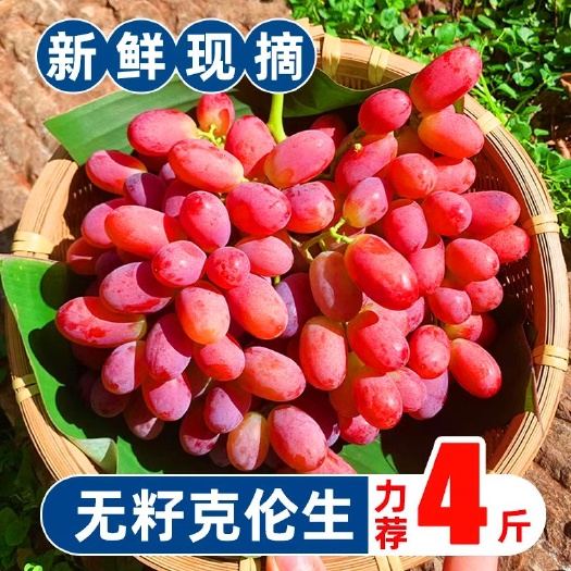 临猗县无籽葡萄新鲜克伦生红提脆甜应当季新鲜水果一整箱现摘现发批发价