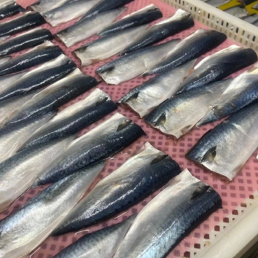 太仓市顺丰青花鱼新鲜日料青占鱼盐渍鲭鲐鲅鱼片商用烧烤食材冷冻非挪威