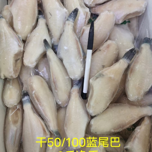 重庆市蓝尾干冰50/100耗儿鱼，