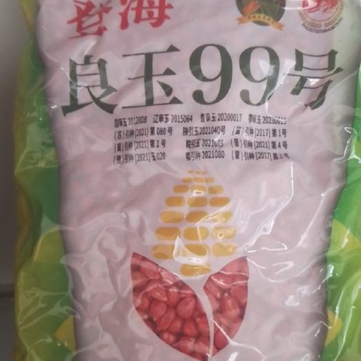 信阳登海良玉99杂交玉米种子、红轴、耐高温、适应广、脱水快易机收