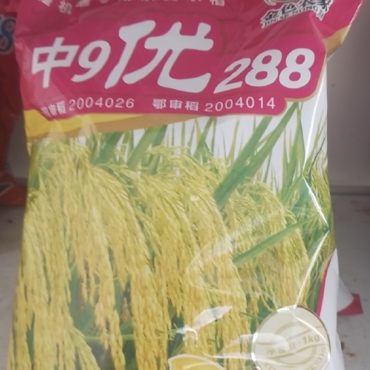 信阳水旱两用杂交稻种，秧苗用量3斤每亩，旱地播种量6斤每亩