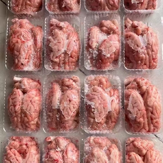 郑州单冻，条冻国产猪脑花，厂家直销，品质好，价格亲民，单冻板冻