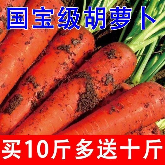 大荔县新鲜胡萝卜沙土地新鲜蔬菜水果红萝卜现挖现发农家自种水果胡萝卜