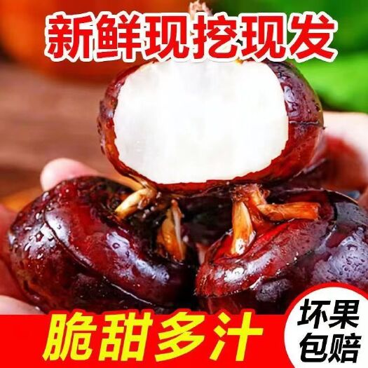 玉龙县【2024新荸荠马蹄上市】广西现挖现发鲜马蹄孛荠马蹄水果