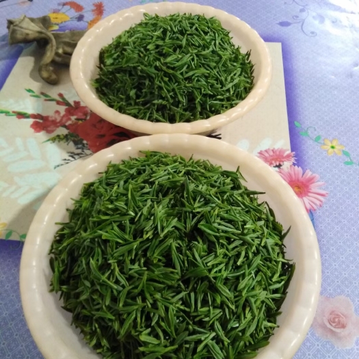 苏州明前碧螺春开採了，纯手工炒制。