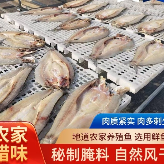 荆门阳干大白刁