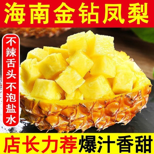 三亚海南金钻凤梨树上熟海南果园现摘直发甜多汁新鲜当季水果