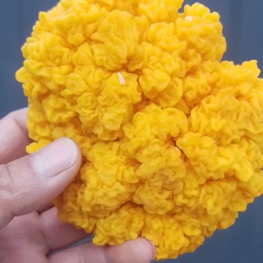 临沂鲜品金耳