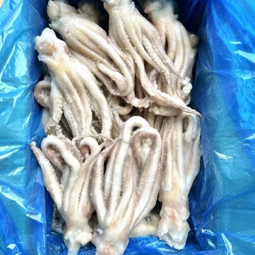 深圳鱿鱼头