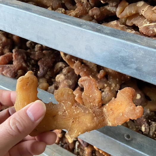 巴中姜形黄精干个子无硫熏