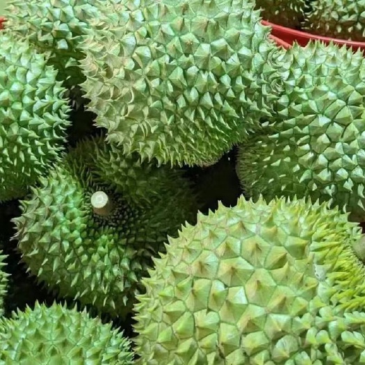 惠东县越南干尧榴莲