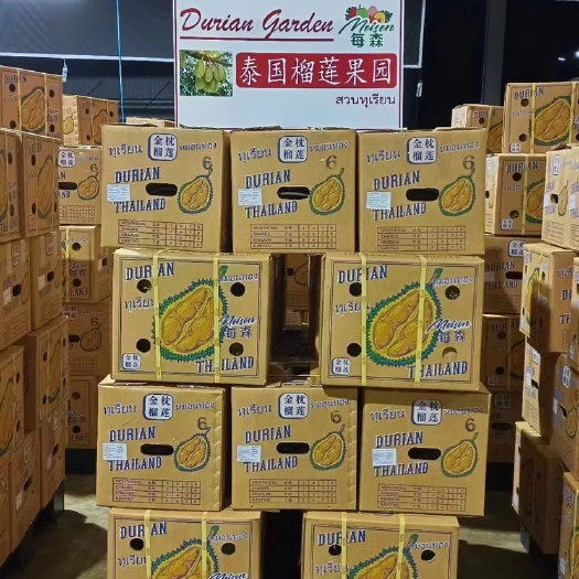 广州泰国金枕榴莲